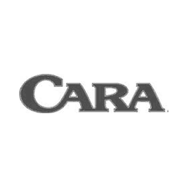 Cara