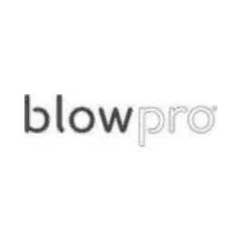 Blow Pro