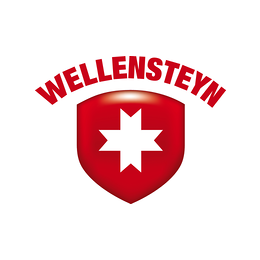 Wellensteyn